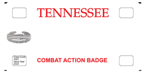 Combat Action Badge Military & Memorial