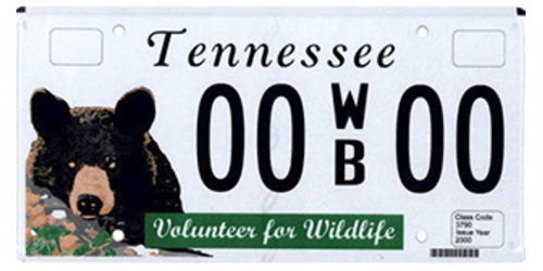 Fish & Wildlife Species - Bear Wildlife & Animal