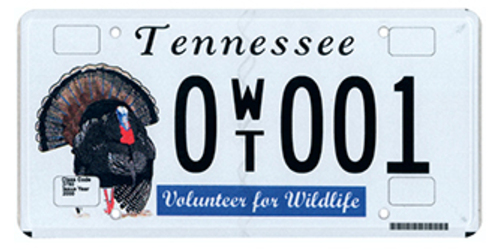 Fish & Wildlife Species - Turkey Wildlife & Animal