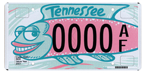 Tennessee Arts Commission - Fish Tennessee Arts Commission, Wildlife & Animal