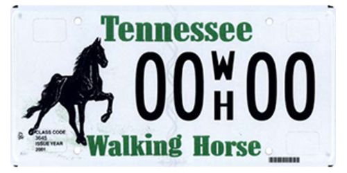 Tennessee Walking Horse Wildlife & Animal