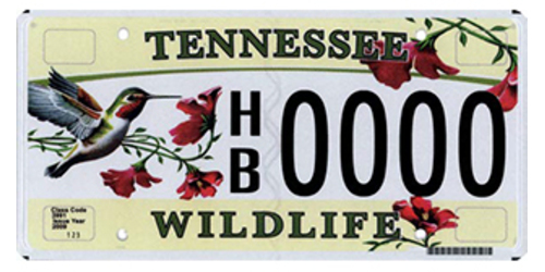 Tennessee Wildlife Federation - Hummingbird Wildlife & Animal