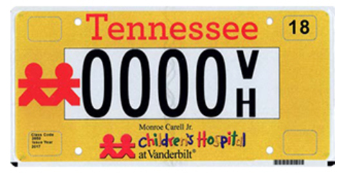 Vanderbilt Children's Hospital Hospitals, For Children