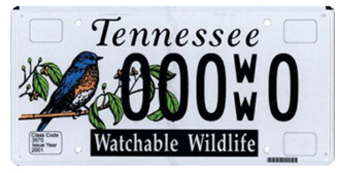 Watchable Wildlife Wildlife & Animal, Environment & Conservation