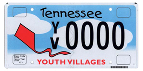 Youth Villages For Children