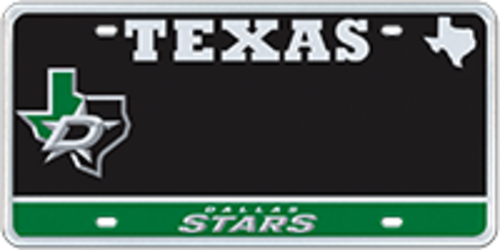 Dallas Stars