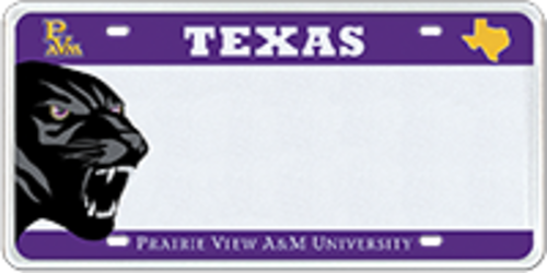 Prairie View A&M University