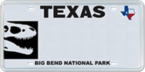 Big Bend Fossil