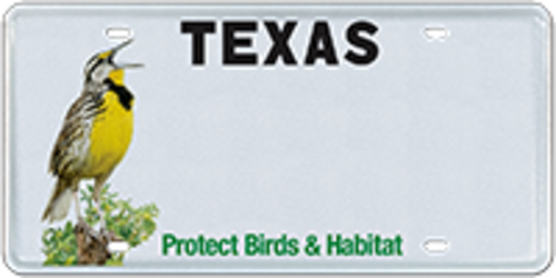 Houston Audubon (Birds and Habitat)