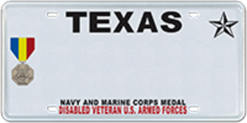 Disabled Veteran with Navy and Marine Corps Medal