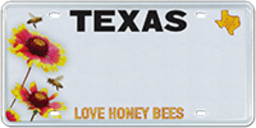 Love Honey Bees