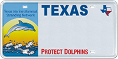 Marine Mammal Recovery