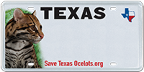 Save Texas Ocelots
