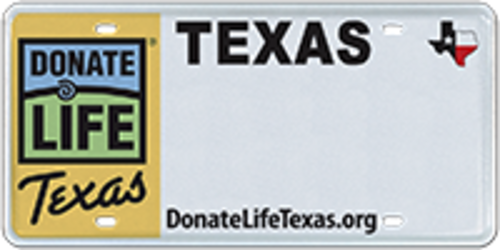 Organ Donor