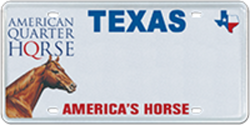 American Quarter Horse Association