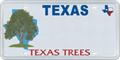 Texas Urban Forestry Council