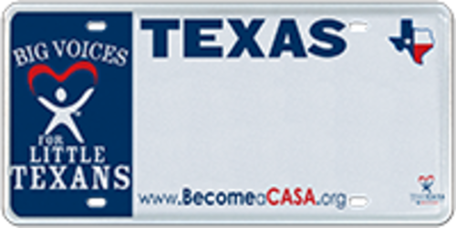 CASA - Court Appointed Special Advocate