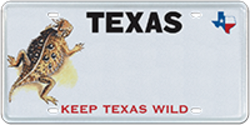 Texas Parks and Wildlife - Horned Lizard