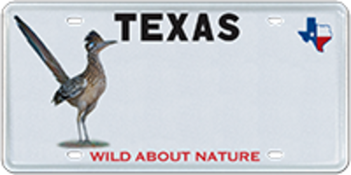 Texas Parks and Wildlife - Roadrunner