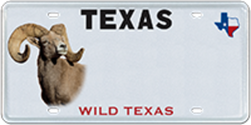 Texas Parks and Wildlife - Bighorn Sheep