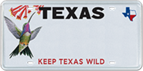 Texas Parks and Wildlife -Hummingbird