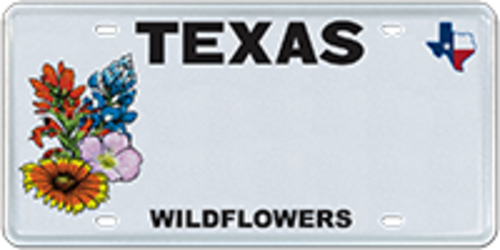Texas Wildflowers