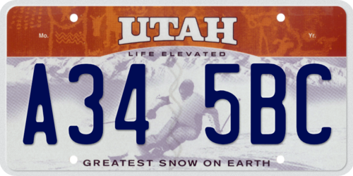 Life Elevated Skier