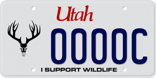 Wildlife – Mule Deer