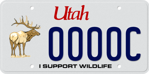 Wildlife – Elk