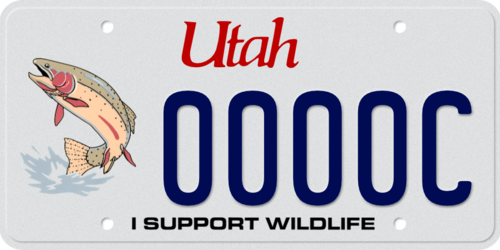 Wildlife – Trout