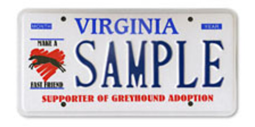 Greyhound Adopt