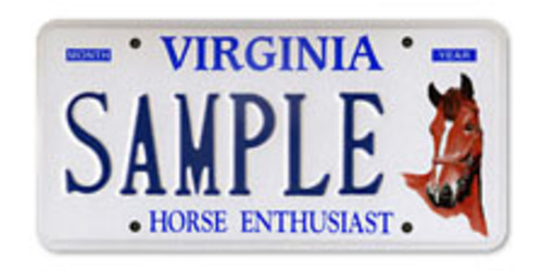 Horse Enthusiasts