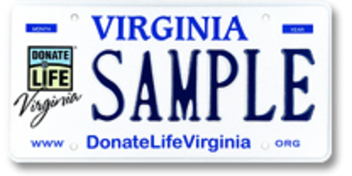 Organ Donor