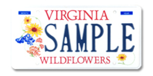 Wildflower