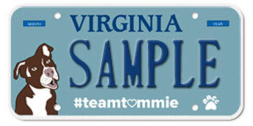 TeamTommie