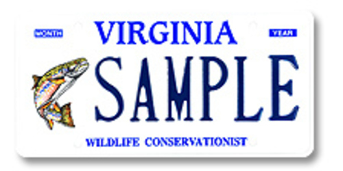 Wildlife Brook Trout