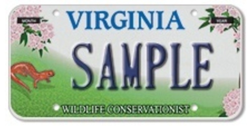 Wildlife Conservationist - Red Salamander
