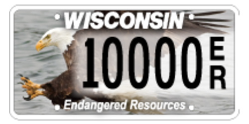 Endangered resources - Eagle